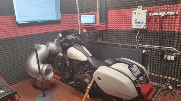 Harley Davidson Low Rider ST - PUBLIC ENEMY - Pepy Sršně Šilera