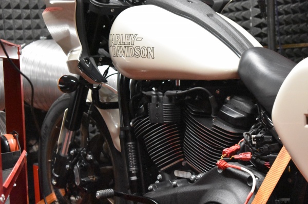 Harley Davidson Low Rider ST - PUBLIC ENEMY - Pepy Sršně Šilera