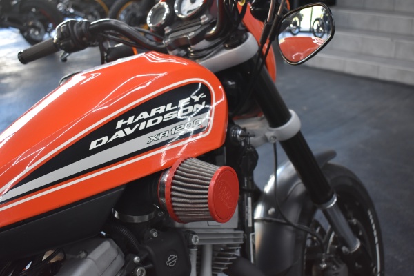 Harley Davidson XR 1200 - 199.990 Kč